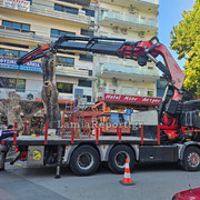 Δεντρο πλατεια Λαου008