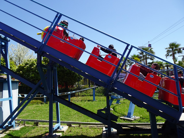 DSC09911.jpg