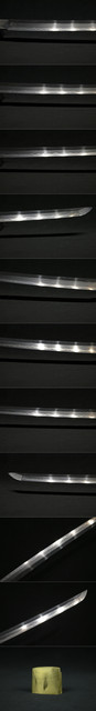 DSC3119.jpg