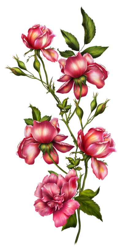 16e256273dc97646232e2ebafb3f4a11 (1).png