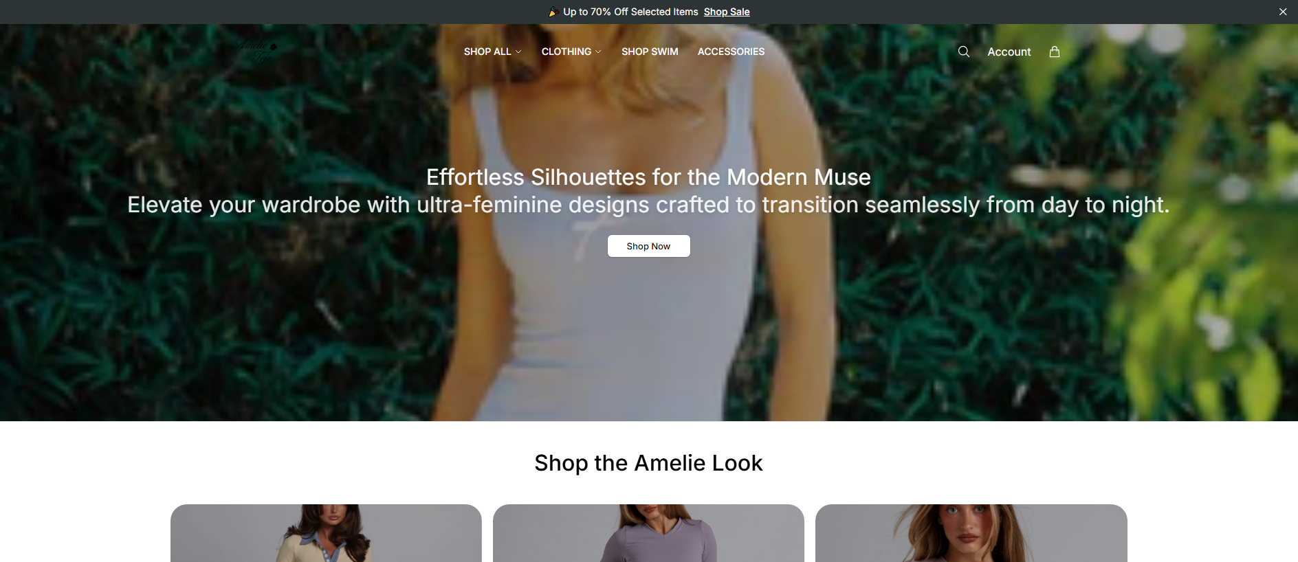 Stored capture of amelietejeedit.shop