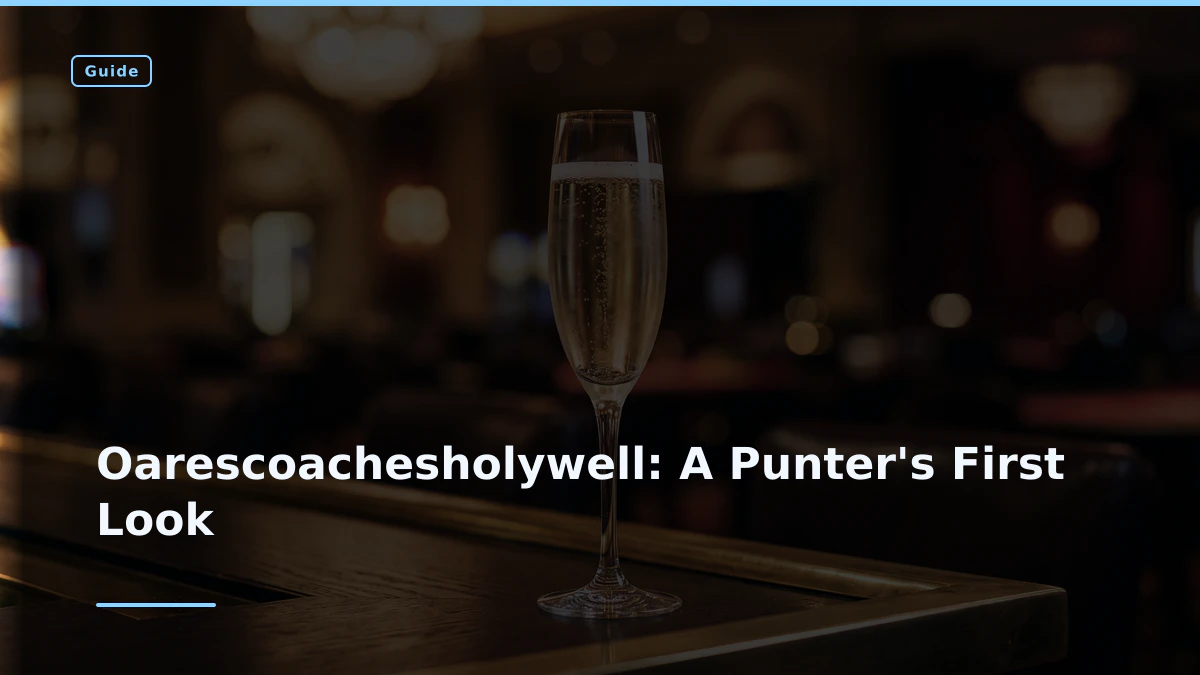 Oarescoachesholywell: A Punter's First Look
