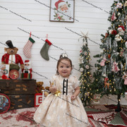 IMG 4236