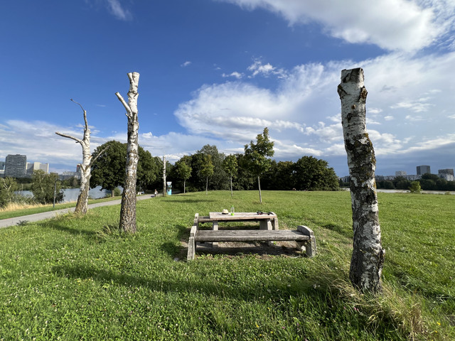 IMG-8705.jpg