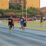 IMG-0157