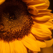 DSC08028 копия