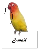 email.gif