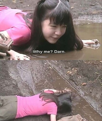 adawd.jpg