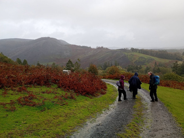 H Llanwrthwl.jpg