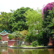 DSC00592
