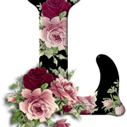 a6e4155eb2d1