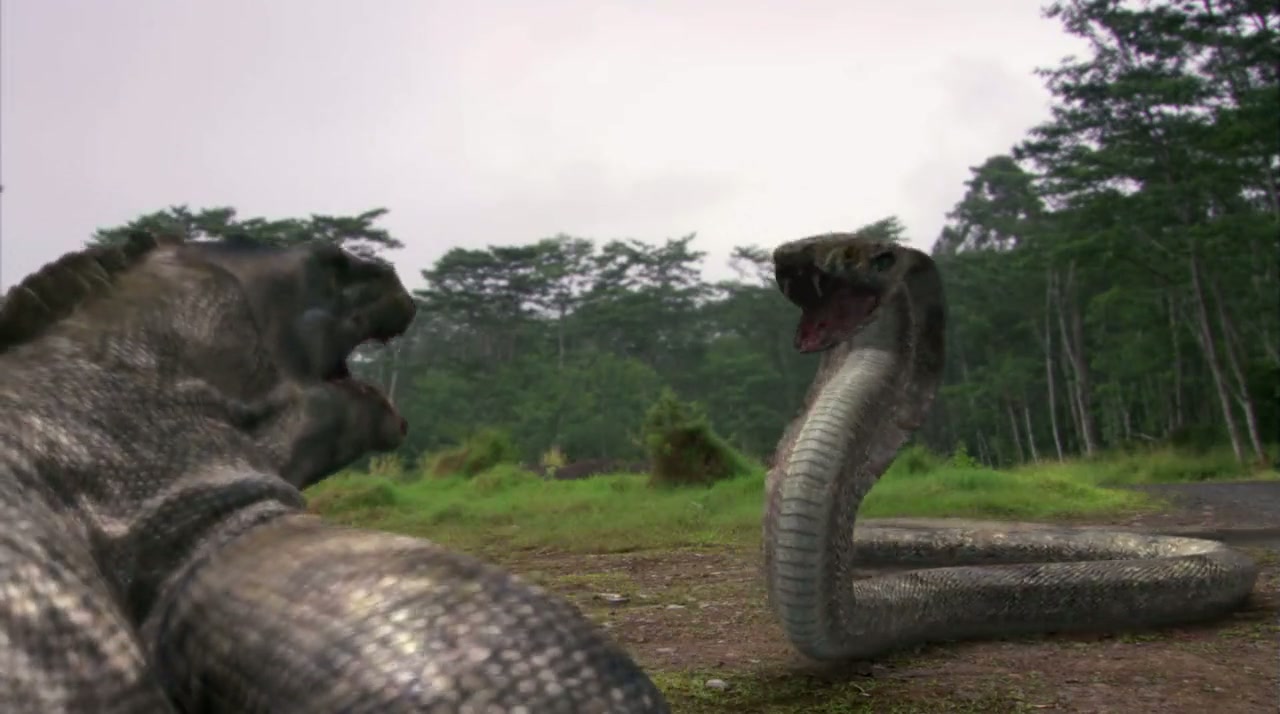 Komodo vs. Cobra Screenshot