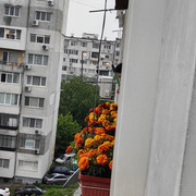IMG 20260604 192427