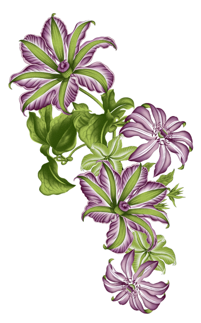aa0a5bf8d0b3d7898befe1ac23b6a46a.png