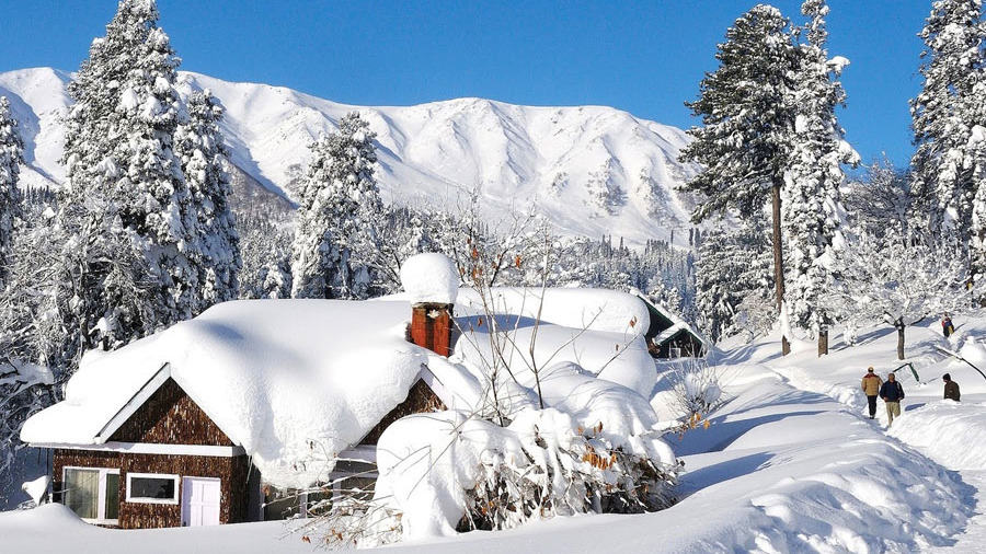Kashmir Trip