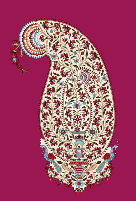 WA (4092).jpg