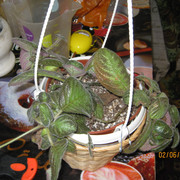 IMG 6418