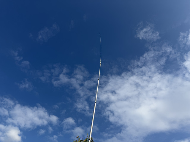 IMG-0798.jpg