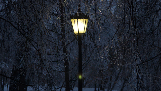 IMG-9425.jpg
