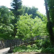 P1320650
