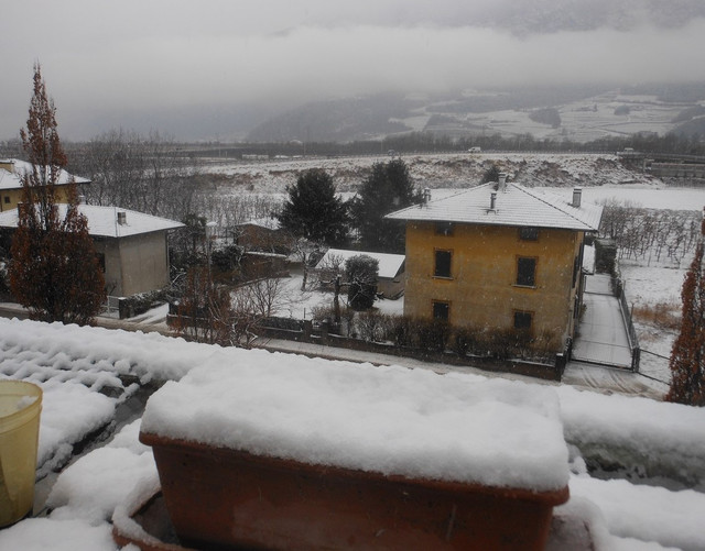 DSCN9394-2