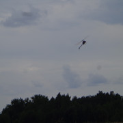 DSC00890