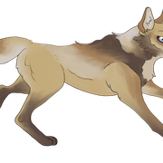 wolfdog-1