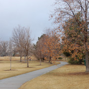 DSC-0004