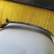 IMG-5904