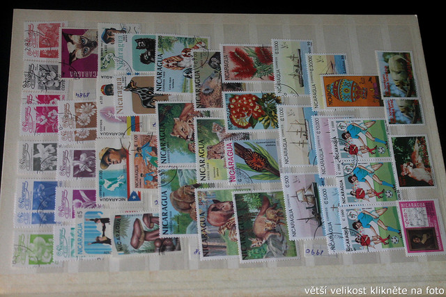 IMG-3726.jpg