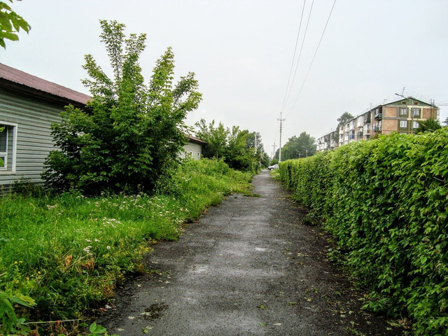 i-19