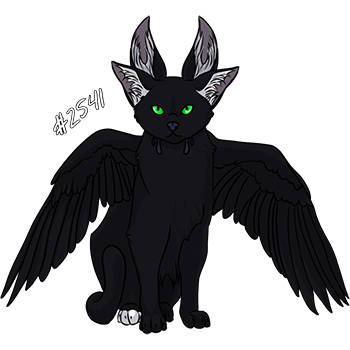 Pet Image