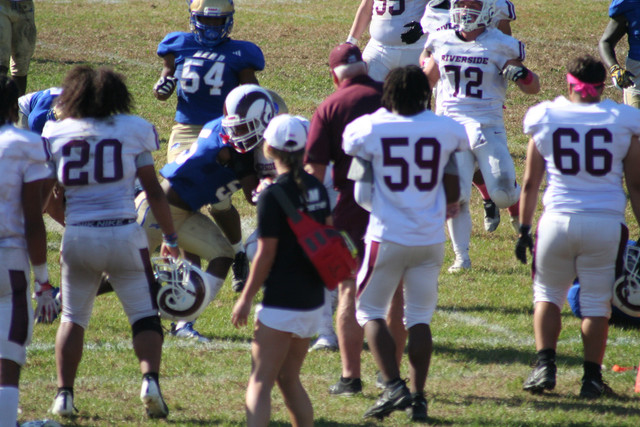 IMG-1238.jpg