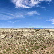 IMG-6201