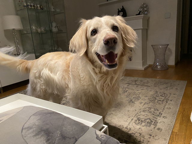 6-AAFE290-2218-4030-A0-E1-0-CE7-F7-EB350