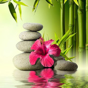 Zen-Garden-Live-Wallpaper-Android-Applications-App-Agg