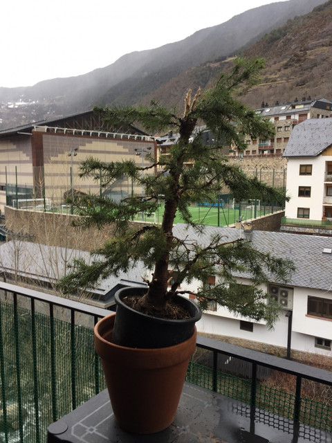 IMG-8685