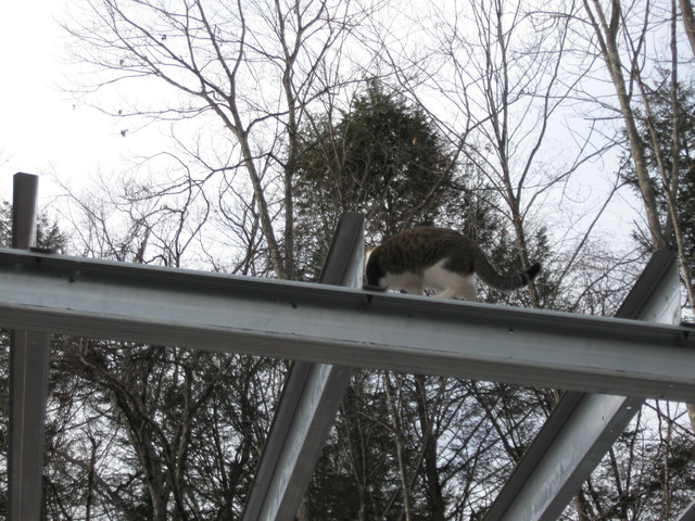 IMG-1294.jpg