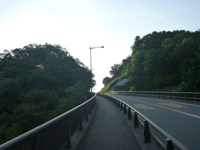 P1340741.jpg