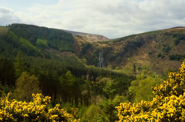 DSCF2270-2.jpg
