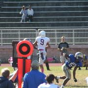 IMG-1201