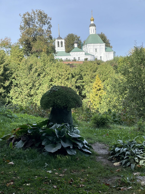 IMG-8553