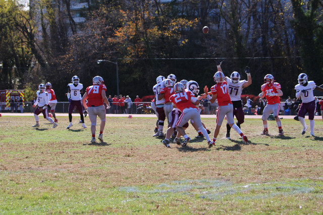 IMG-1151.jpg