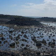 DSCF8673