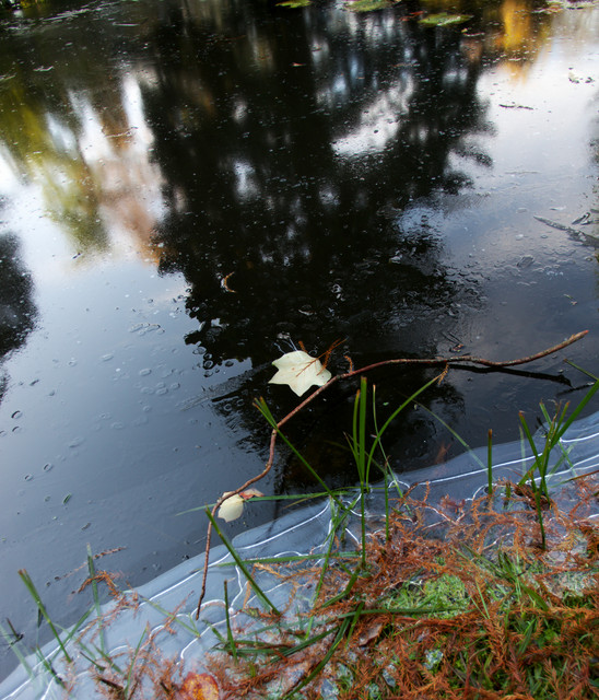 IMGP2182.jpg