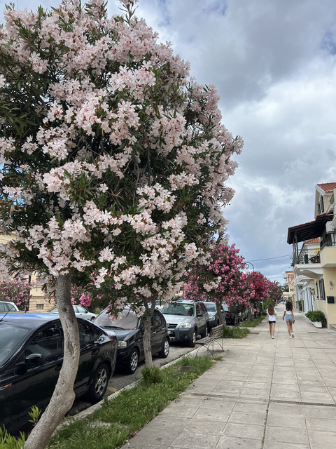 IMG-1344