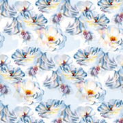 c852cf76f5900d4caa909a735666b4e7