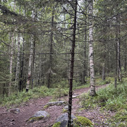 IMG 4786