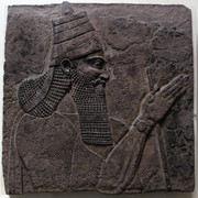 IMGP9088