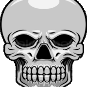 skull